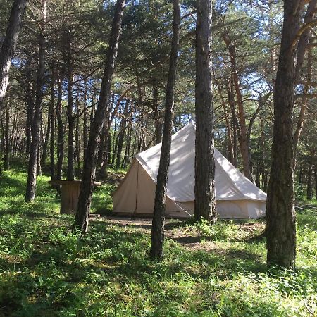Camping La Chabannerie Hotell Saint-Martin-de-Clelles Eksteriør bilde